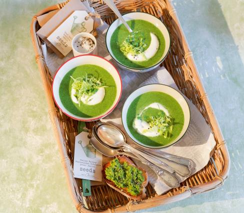 2015-04-erbsen-kopfsalat-suppe-mit-erbsen-crostini
